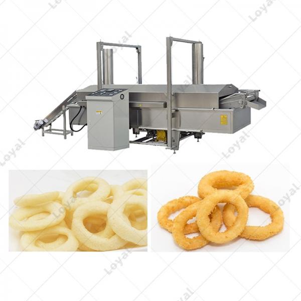 Commercial Automatic Onion Fryer Machine Fried Variety Onion Belt Fryer Machine #1 image