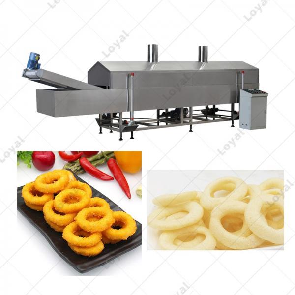 Commercial Automatic Onion Fryer Machine Fried Variety Onion Belt Fryer Machine #2 image