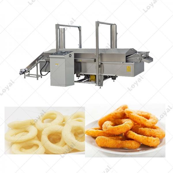 Commercial Automatic Onion Fryer Machine Fried Variety Onion Belt Fryer Machine #3 image