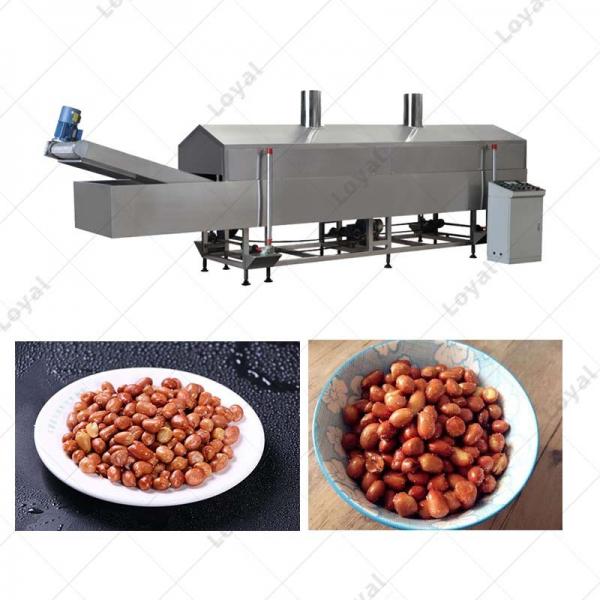 Automatic 300-500KgH Industry Large Fried Peanut Continuous Snack Frying Machine Machine #1 image