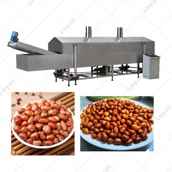 Automatic 300-500KgH Industry Large Fried Peanut Continuous Snack Frying Machine Machine #2 image
