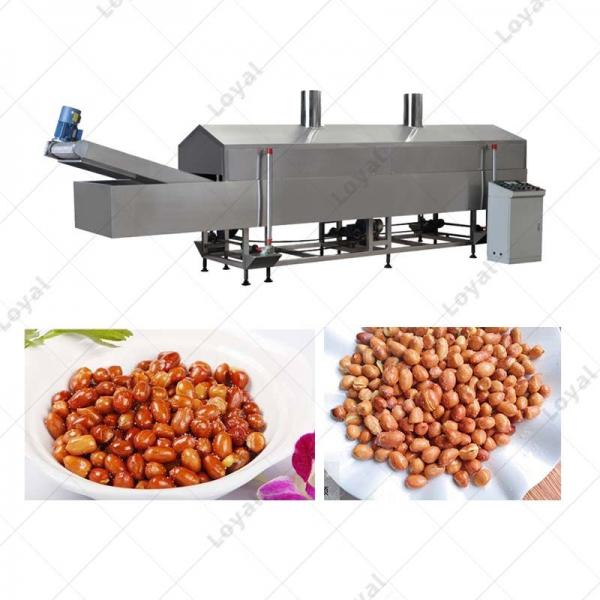 Automatic 300-500KgH Industry Large Fried Peanut Continuous Snack Frying Machine Machine #3 image