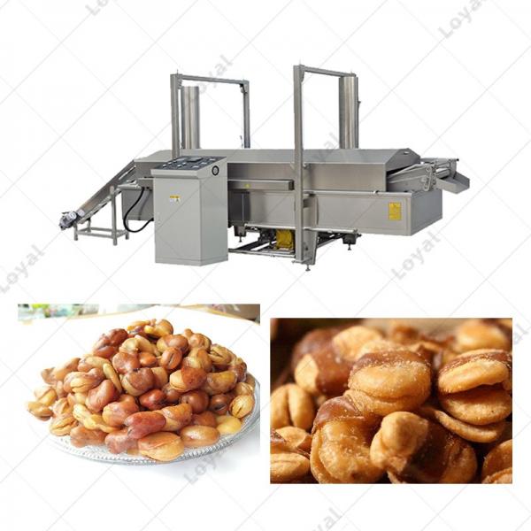 Full Automatic Continuous Orchid Beans Deep Frying Machine #2 image