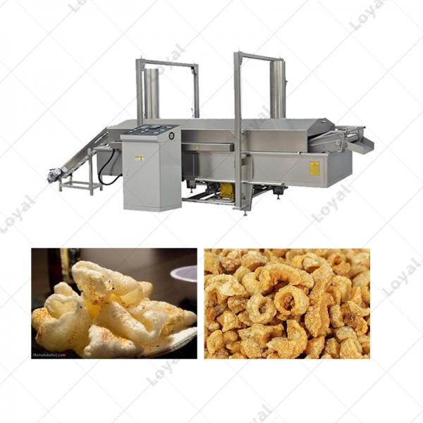 Continuous Automatic Pork Rinds Frying Deep Fryer Filter System #1 image