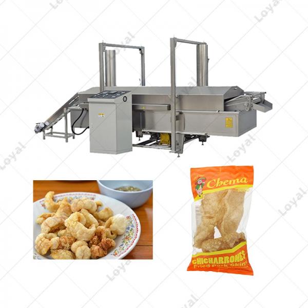 Continuous Automatic Pork Rinds Frying Deep Fryer Filter System #2 image