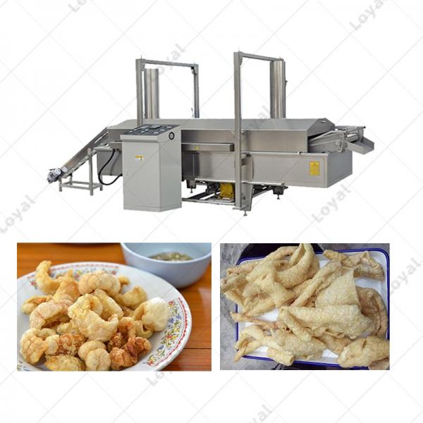 Continuous Automatic Pork Rinds Frying Deep Fryer Filter System #3 image