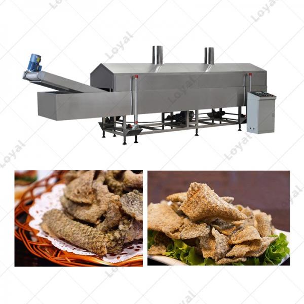 High Quality Industrial Crispy Fish Skin Automatic Fryer Machine #1 image