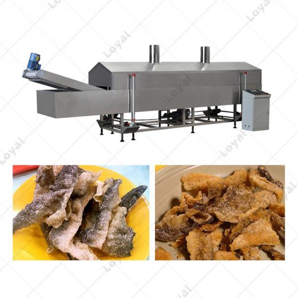 High Quality Industrial Crispy Fish Skin Automatic Fryer Machine #3 image