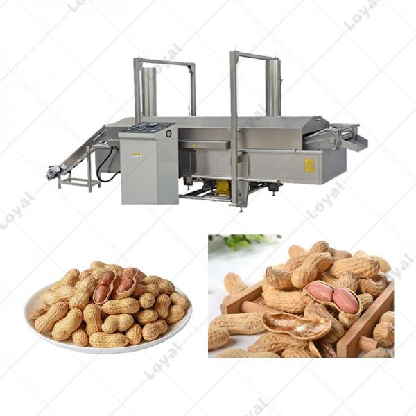 Automatic Groundnut Fryer Machine With Oil Filtration System #1 image