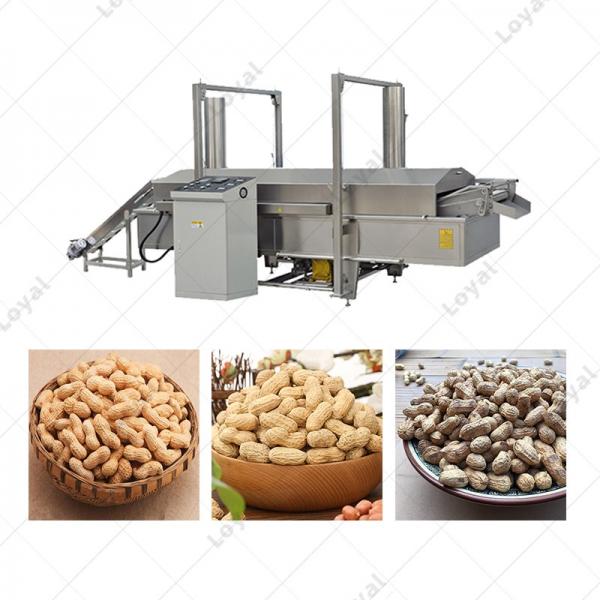 Automatic Groundnut Fryer Machine With Oil Filtration System #2 image