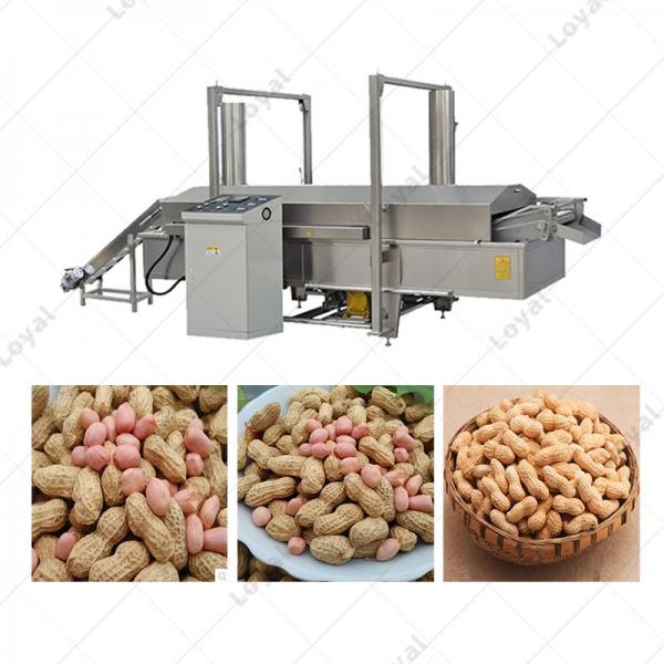 Automatic Groundnut Fryer Machine With Oil Filtration System #3 image