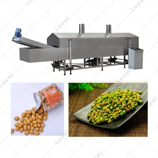 Fully Automatic Nuts Batch Fryer Machine #1 image