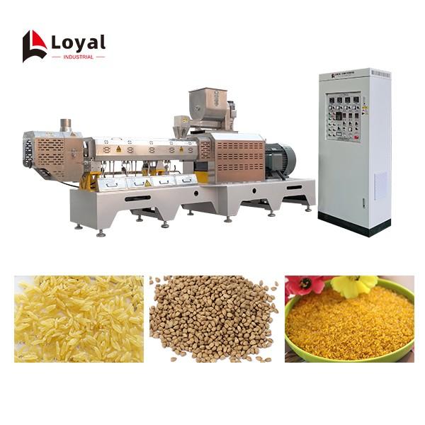 Large Capacity 500kg/h Fortified Rice Kernels (Frk) Extruder Machine #1 image