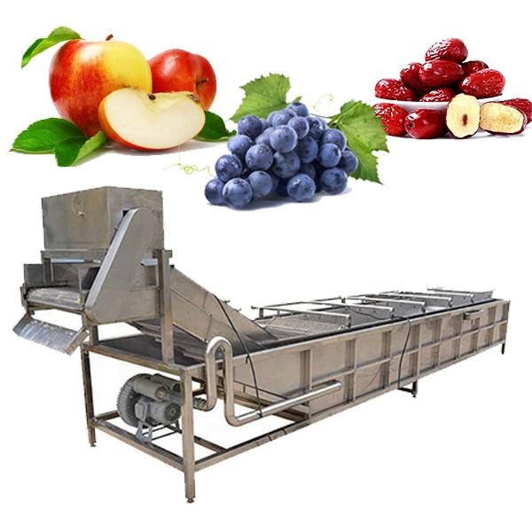 Industrial Fruit and Vegetable Washing Machine #1 image